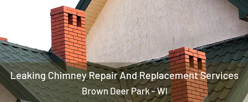 Leaking Chimney Repair And Replacement Services Brown Deer Park - WI