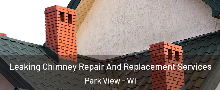 Leaking Chimney Repair And Replacement Services Park View - WI