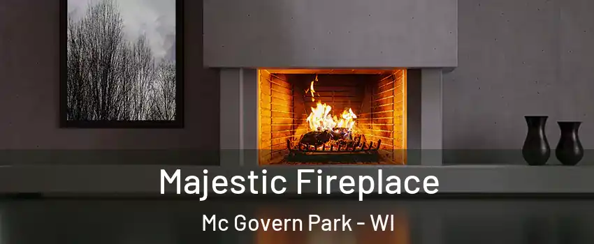 Majestic Fireplace Mc Govern Park - WI