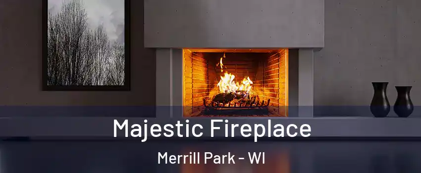 Majestic Fireplace Merrill Park - WI