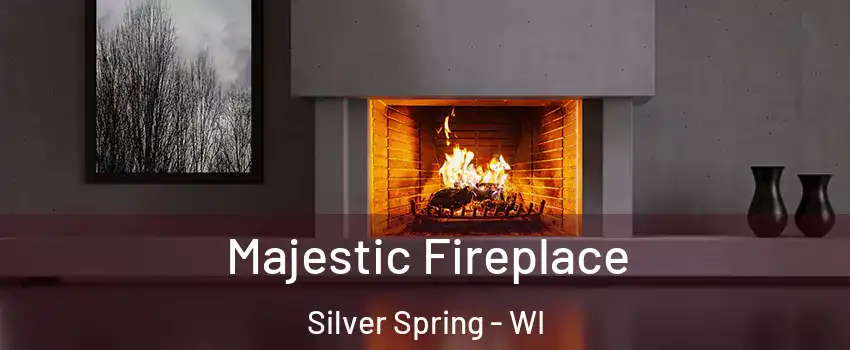 Majestic Fireplace Silver Spring - WI