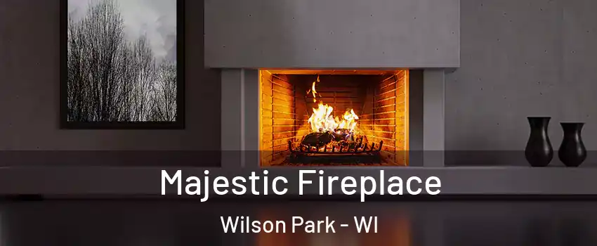 Majestic Fireplace Wilson Park - WI