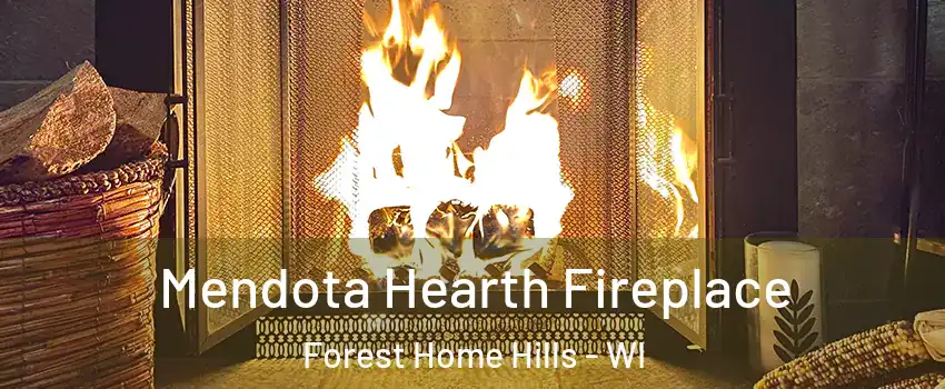 Mendota Hearth Fireplace Forest Home Hills - WI