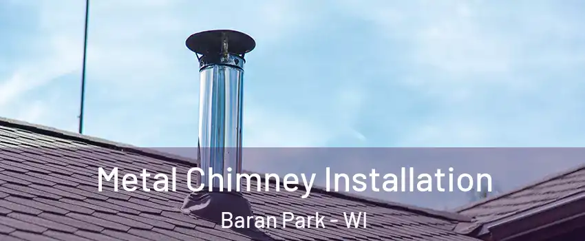 Metal Chimney Installation Baran Park - WI