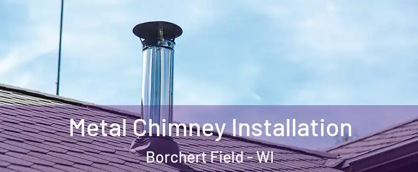 Metal Chimney Installation Borchert Field - WI