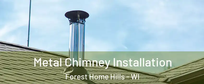 Metal Chimney Installation Forest Home Hills - WI