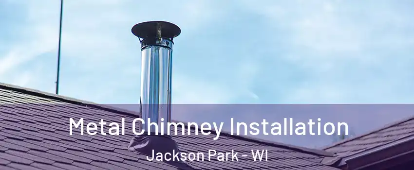 Metal Chimney Installation Jackson Park - WI