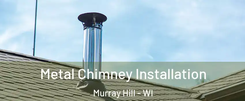 Metal Chimney Installation Murray Hill - WI