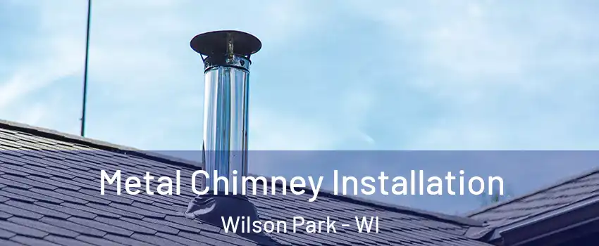 Metal Chimney Installation Wilson Park - WI