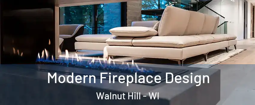 Modern Fireplace Design Walnut Hill - WI