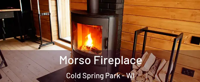 Morso Fireplace Cold Spring Park - WI