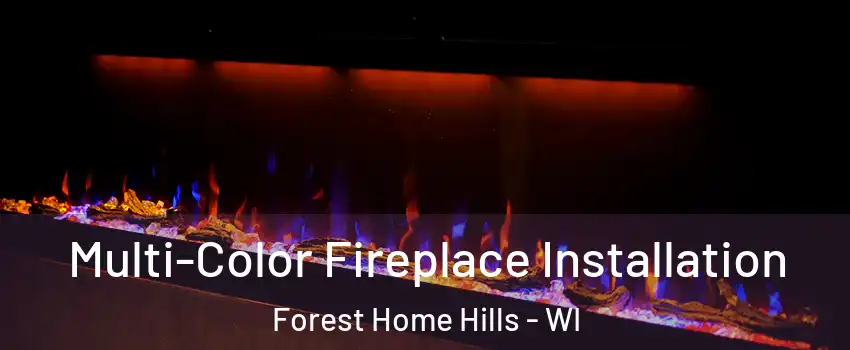 Multi-Color Fireplace Installation Forest Home Hills - WI