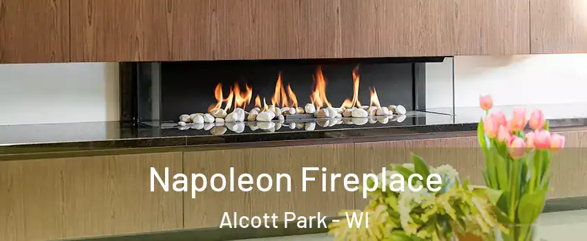 Napoleon Fireplace Alcott Park - WI