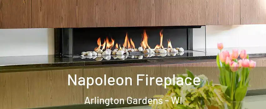 Napoleon Fireplace Arlington Gardens - WI