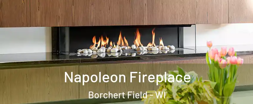 Napoleon Fireplace Borchert Field - WI