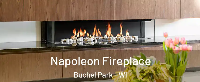 Napoleon Fireplace Buchel Park - WI