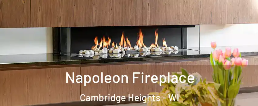 Napoleon Fireplace Cambridge Heights - WI