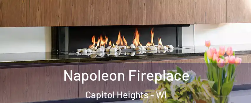 Napoleon Fireplace Capitol Heights - WI