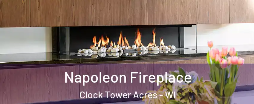 Napoleon Fireplace Clock Tower Acres - WI