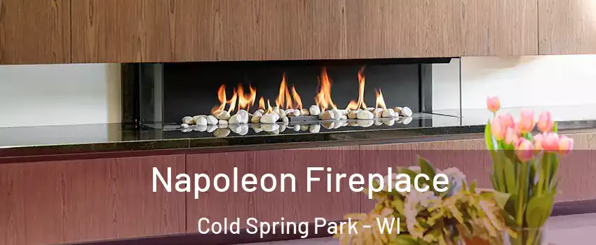 Napoleon Fireplace Cold Spring Park - WI