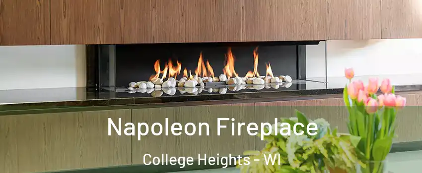 Napoleon Fireplace College Heights - WI