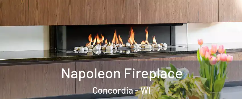 Napoleon Fireplace Concordia - WI