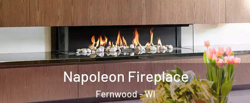 Napoleon Fireplace Fernwood - WI