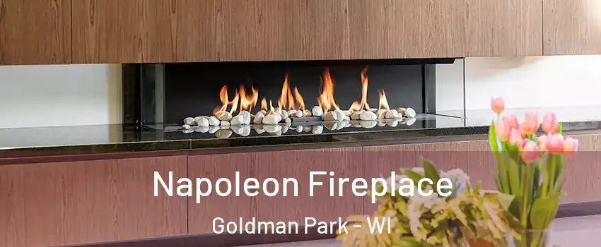 Napoleon Fireplace Goldman Park - WI