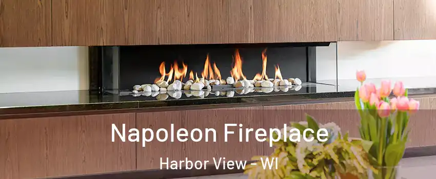 Napoleon Fireplace Harbor View - WI