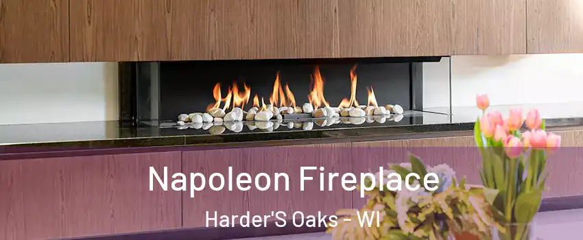 Napoleon Fireplace Harder'S Oaks - WI