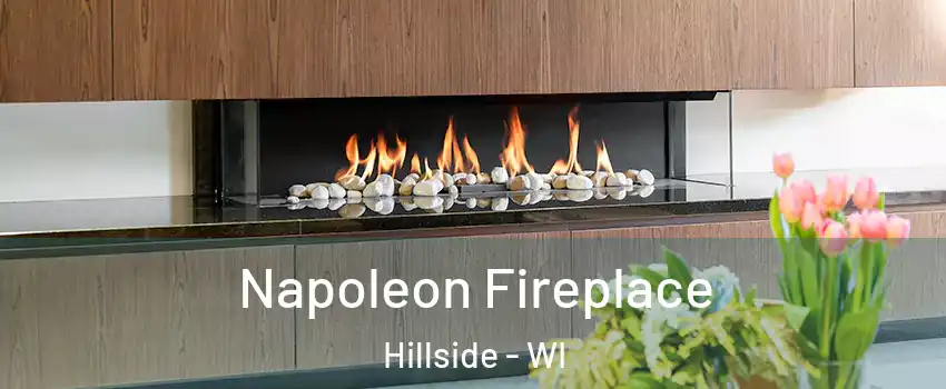 Napoleon Fireplace Hillside - WI