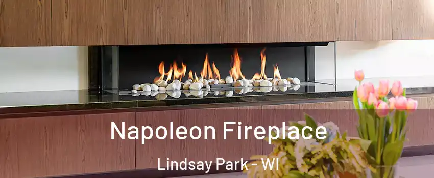 Napoleon Fireplace Lindsay Park - WI