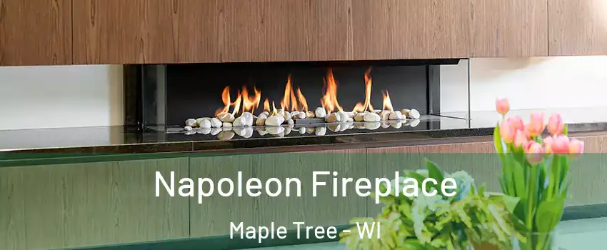 Napoleon Fireplace Maple Tree - WI