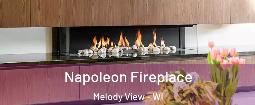 Napoleon Fireplace Melody View - WI