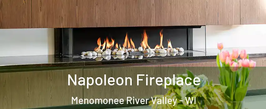 Napoleon Fireplace Menomonee River Valley - WI