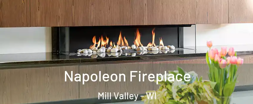 Napoleon Fireplace Mill Valley - WI