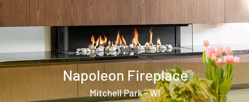 Napoleon Fireplace Mitchell Park - WI