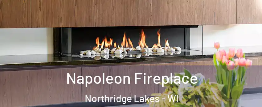 Napoleon Fireplace Northridge Lakes - WI