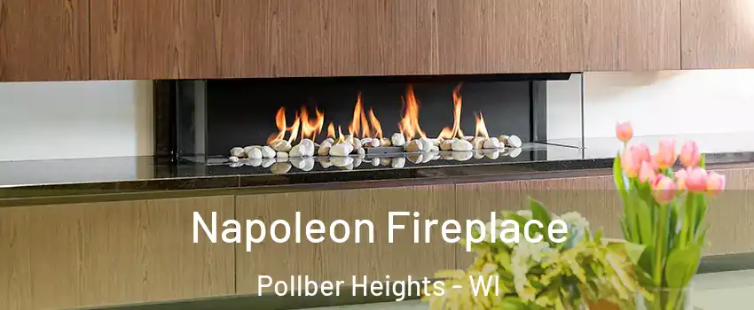 Napoleon Fireplace Pollber Heights - WI