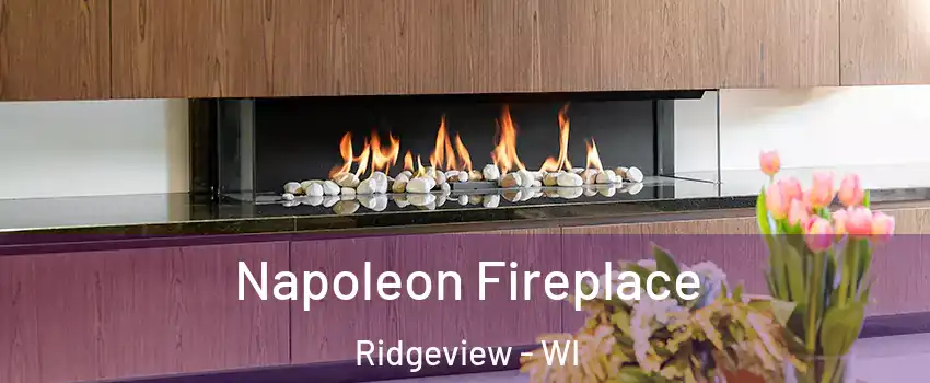 Napoleon Fireplace Ridgeview - WI