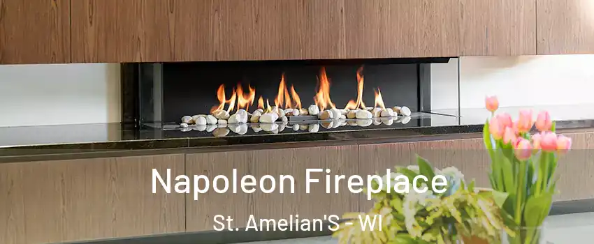 Napoleon Fireplace St. Amelian'S - WI