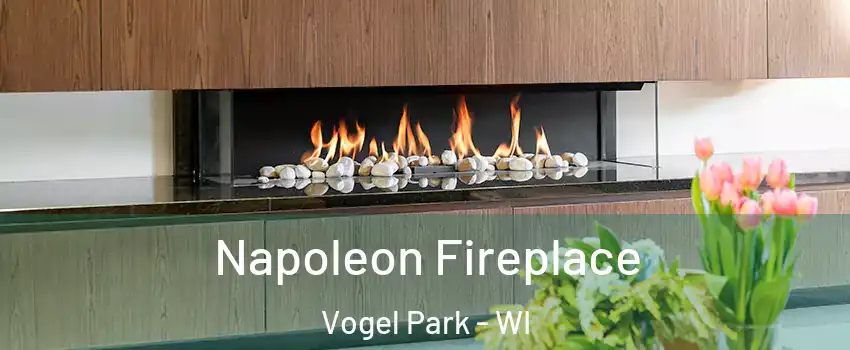 Napoleon Fireplace Vogel Park - WI