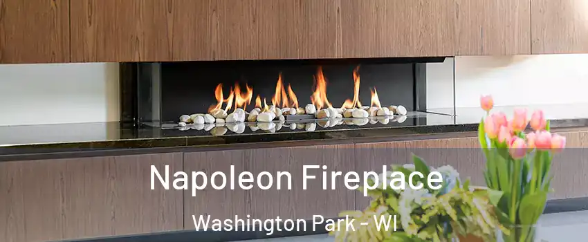 Napoleon Fireplace Washington Park - WI