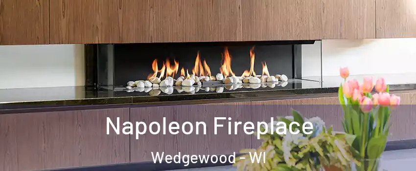 Napoleon Fireplace Wedgewood - WI