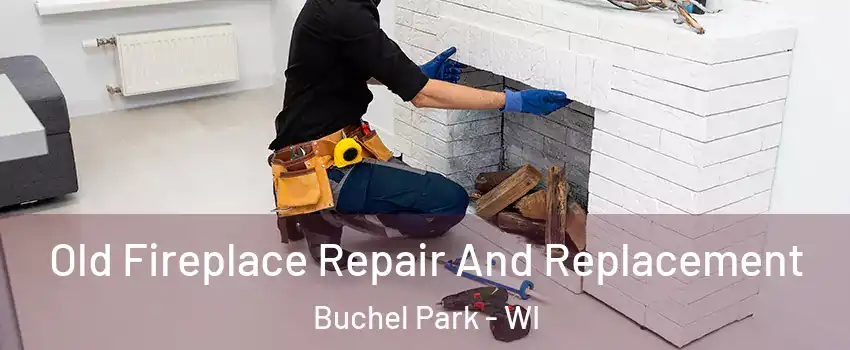 Old Fireplace Repair And Replacement Buchel Park - WI