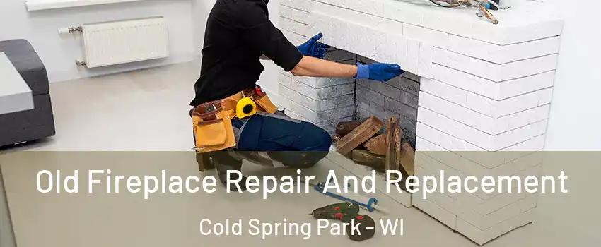 Old Fireplace Repair And Replacement Cold Spring Park - WI