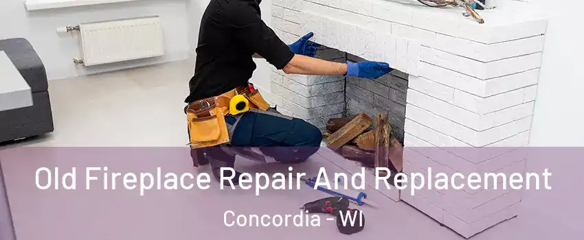 Old Fireplace Repair And Replacement Concordia - WI