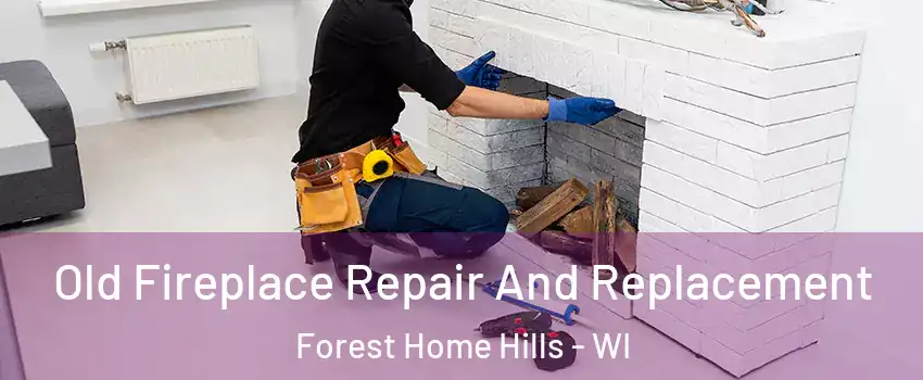 Old Fireplace Repair And Replacement Forest Home Hills - WI