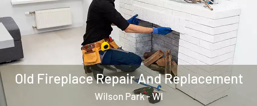 Old Fireplace Repair And Replacement Wilson Park - WI