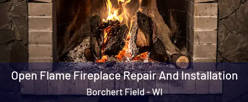 Open Flame Fireplace Repair And Installation Borchert Field - WI